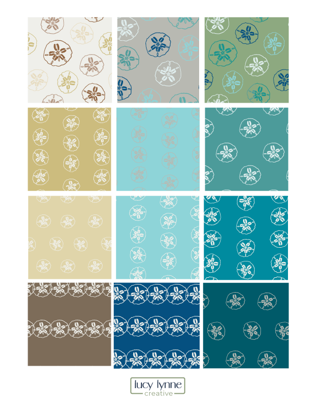 Sand dollar Collection
